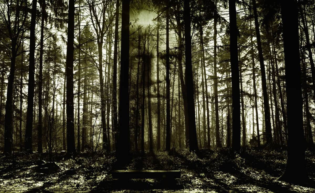 林の中に不気味に浮かび上がる男性の顔
